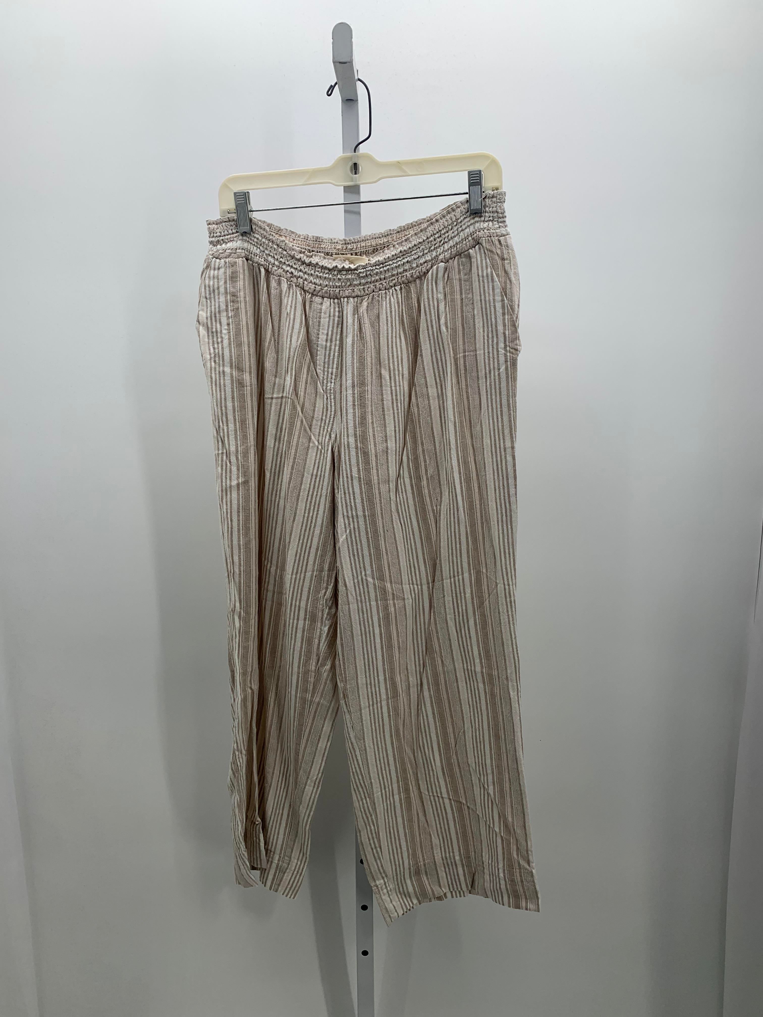 Size 2X Womens Pants