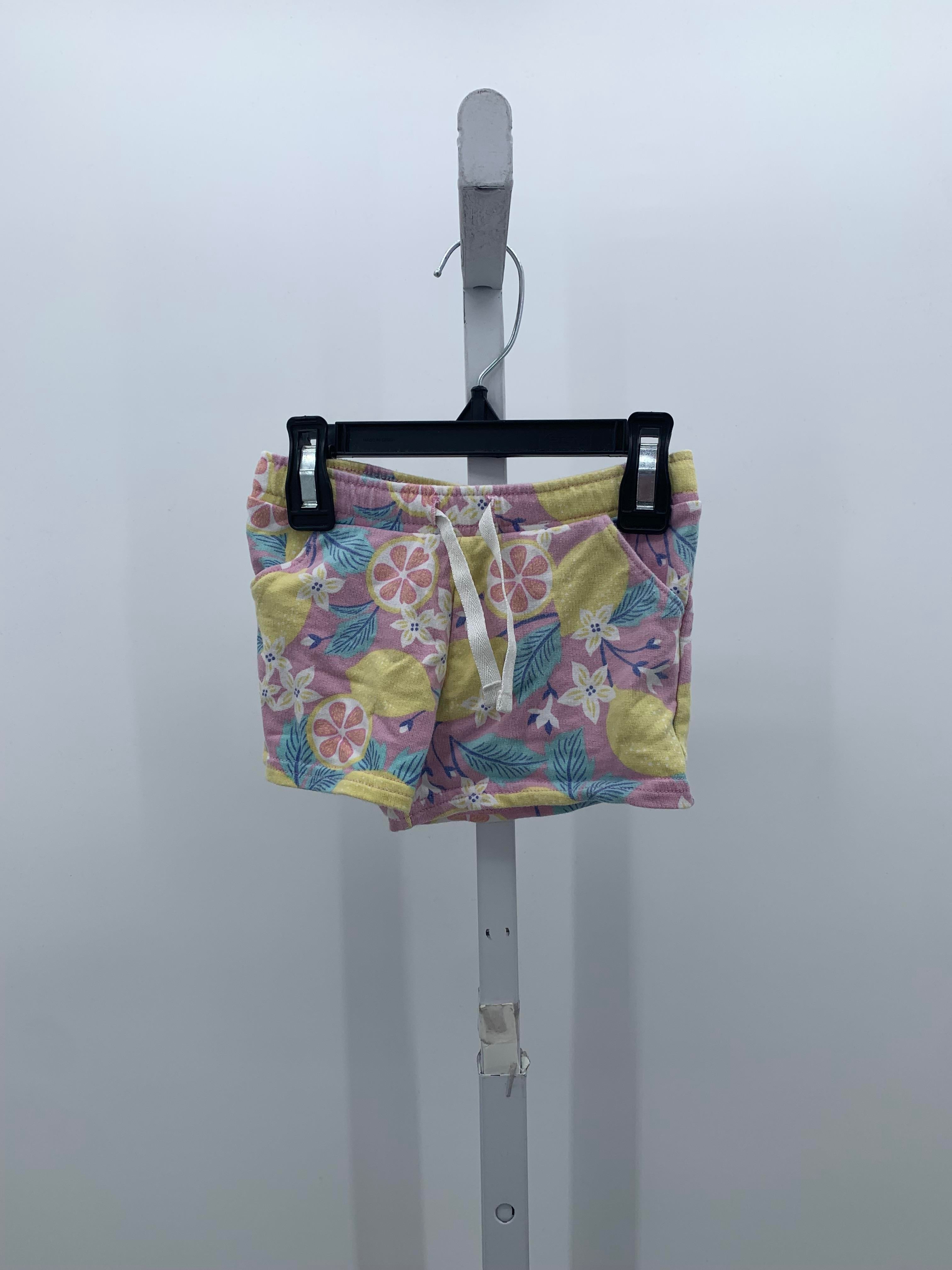 Carters Size 2T Girls Shorts
