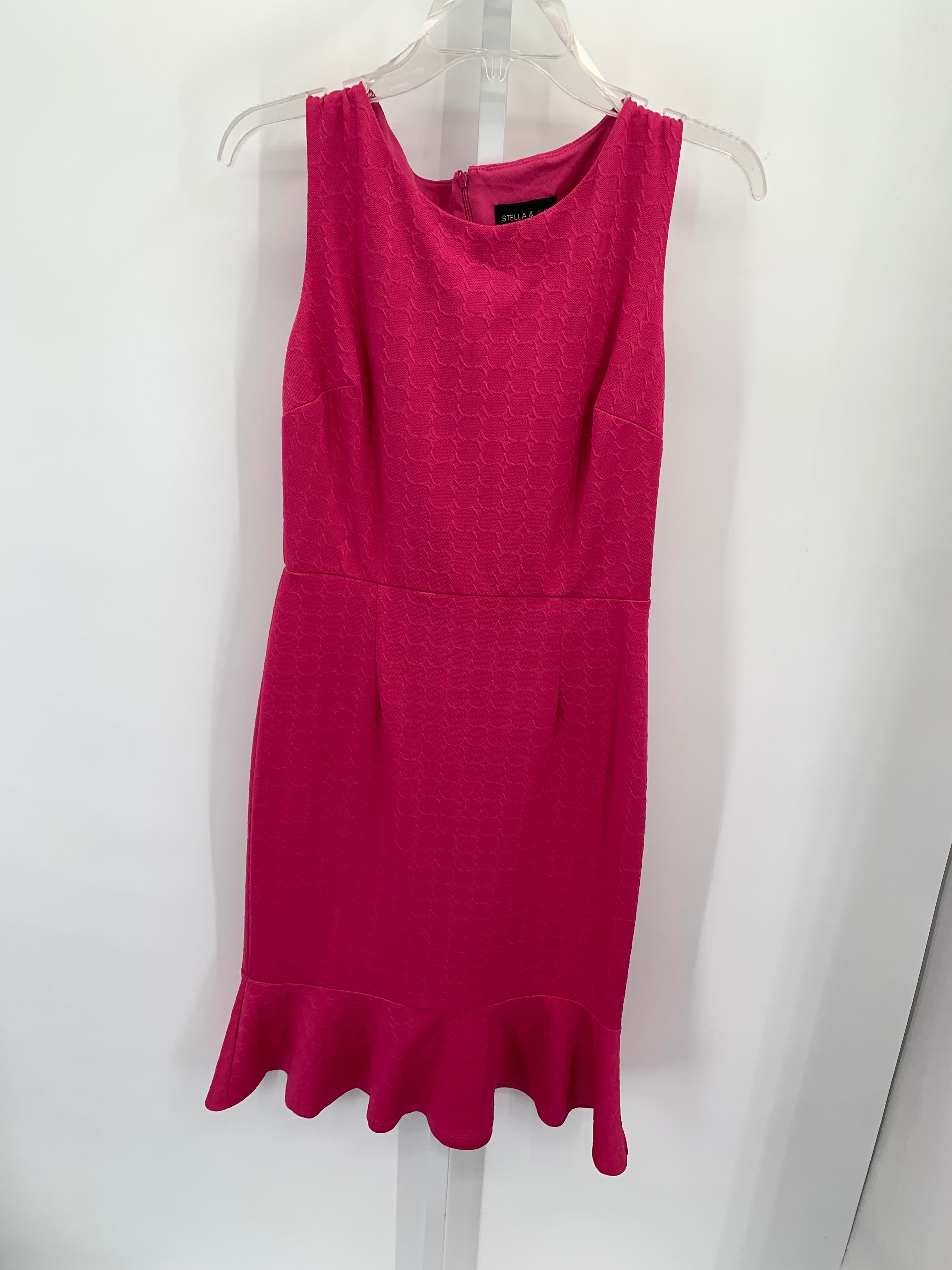 Stella Luce Size 6 Misses Sleeveless Dress