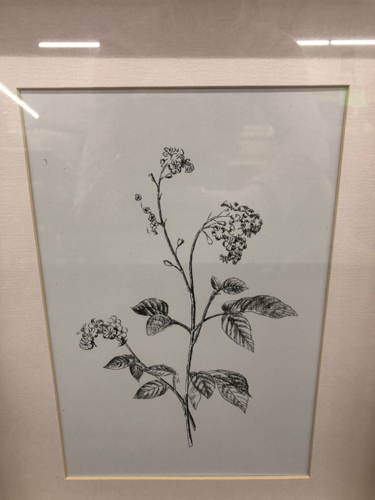 SKETCH FLORAL IN CREAM FRAME WALL ART.