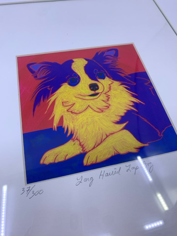 LONG HAIRED LAP DOG PAINTING - SIGNED IN WHITE FRAME.
