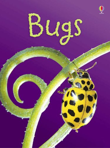 Bugs (Beginners) by Lucy Bowman (Hardcover) - Lucy Bowman