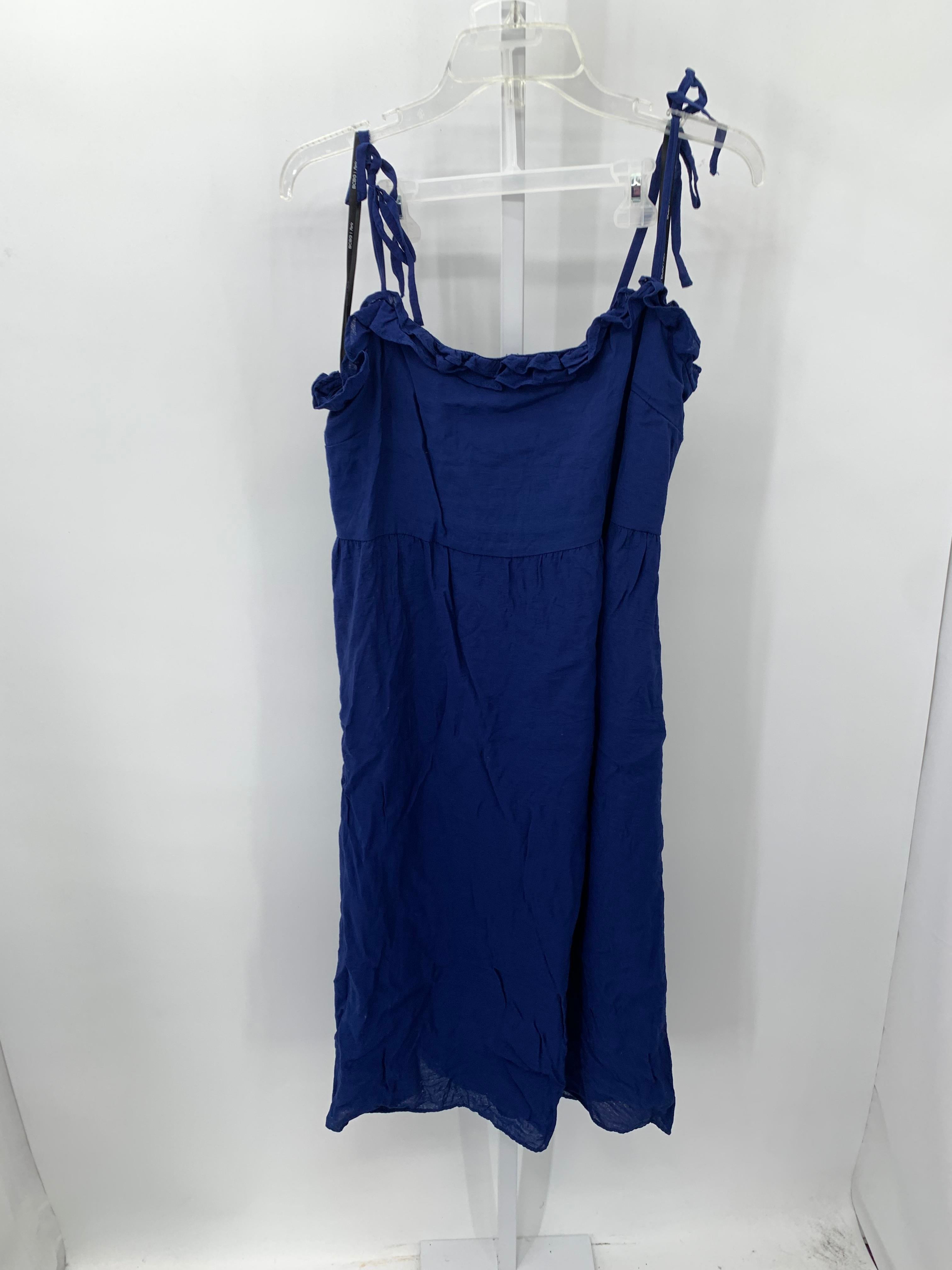 BCBG Size Large Misses Sleeveless Dress