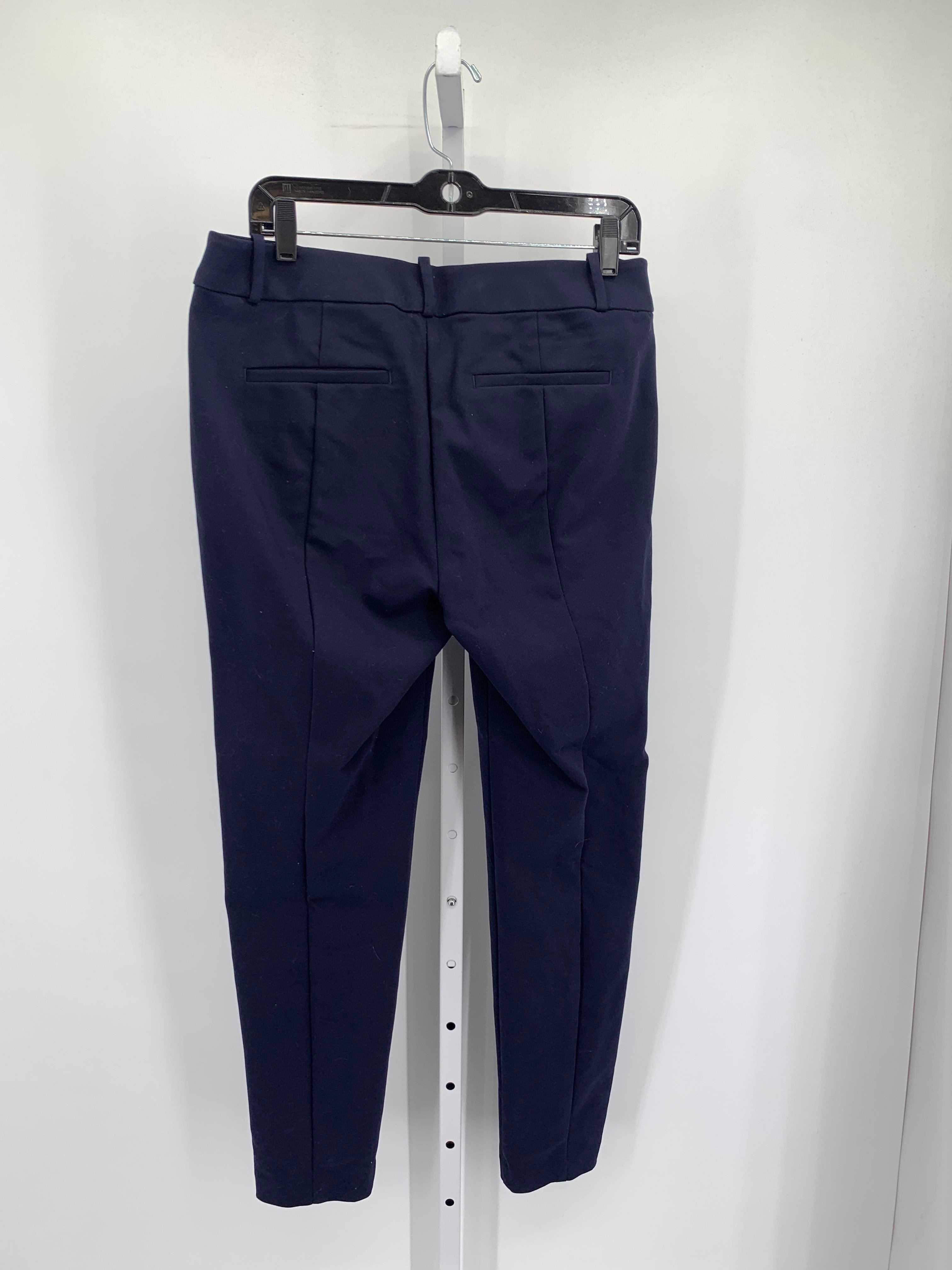 Loft Size 8 Tall Misses Pants