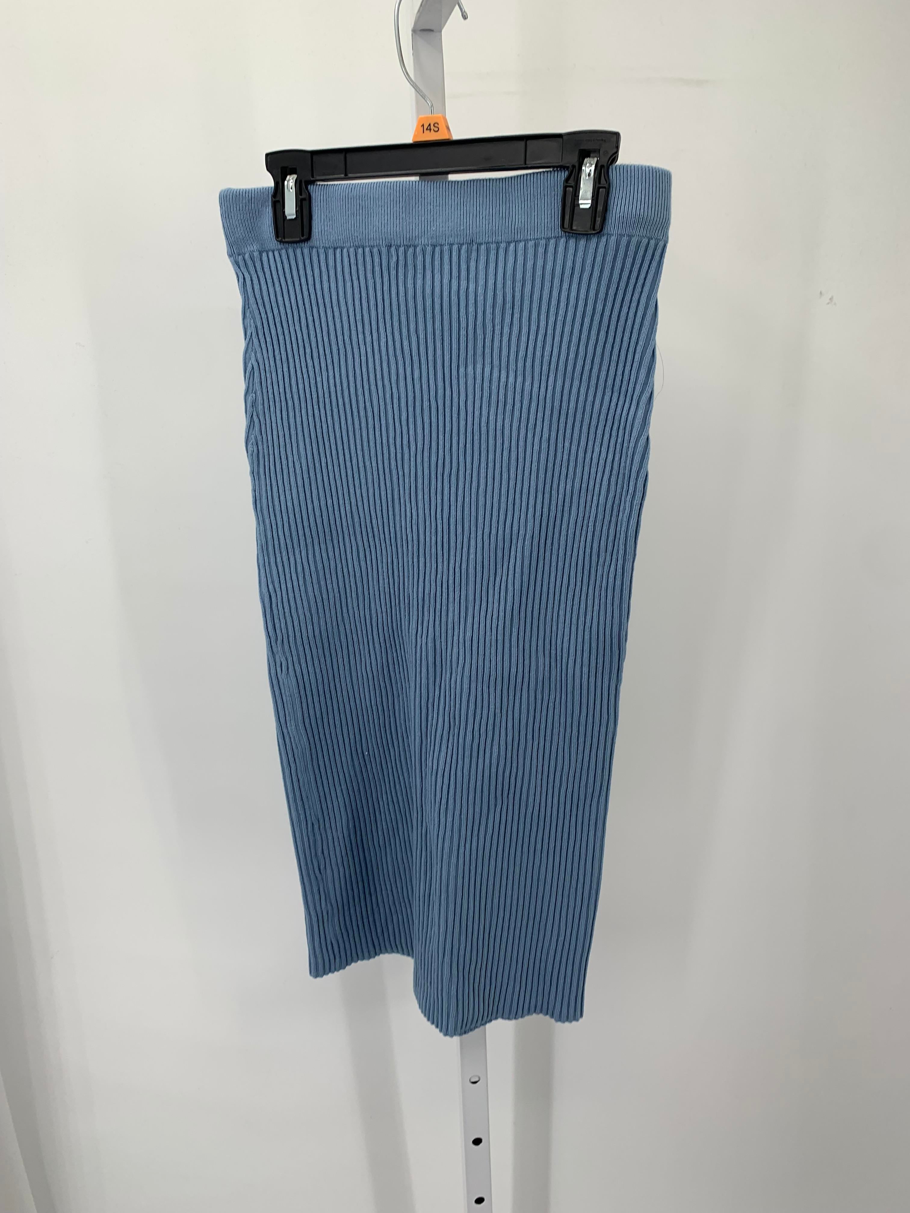 Size Large Juniors Skirt