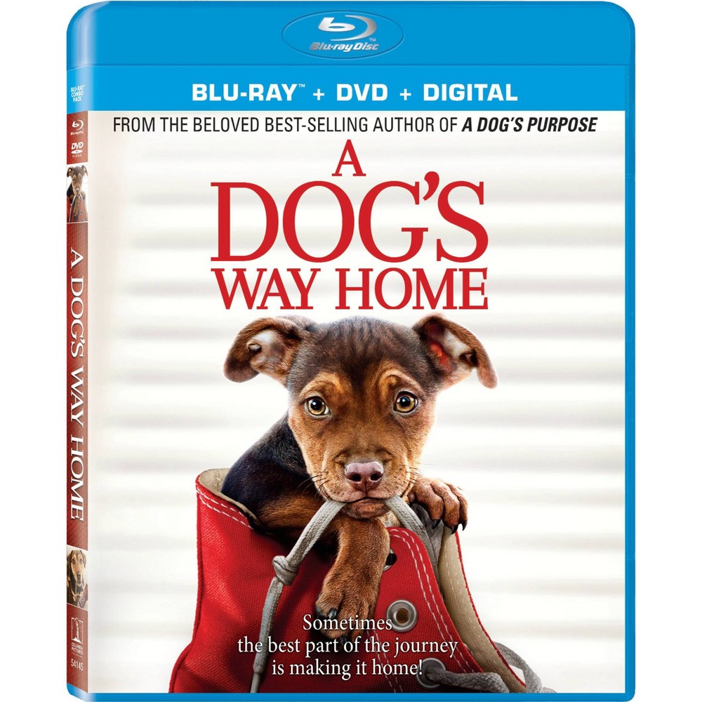 A Dog's Way Home (Blu-ray + DVD + Digital) -