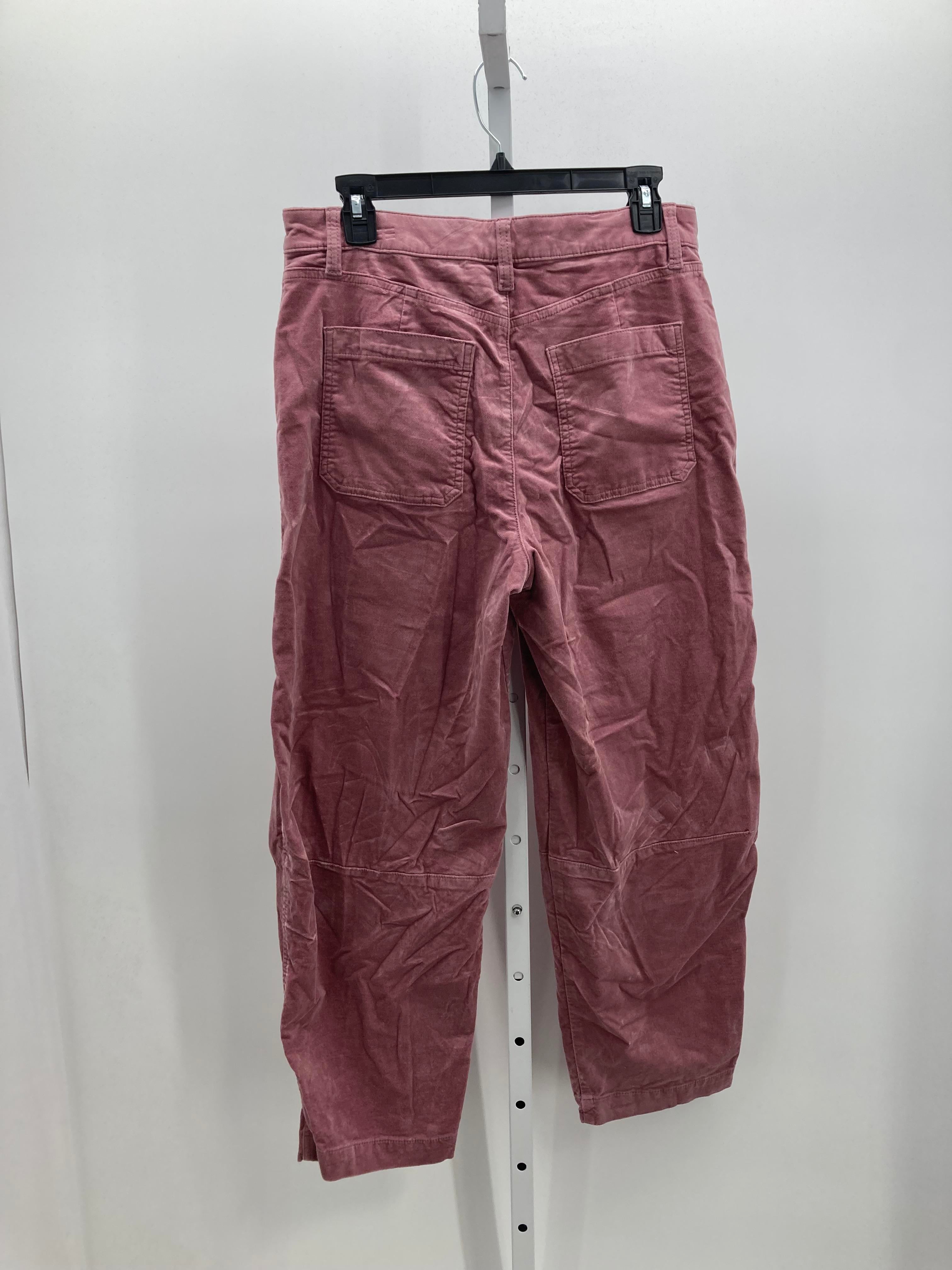 Loft Size 8 Misses Pants