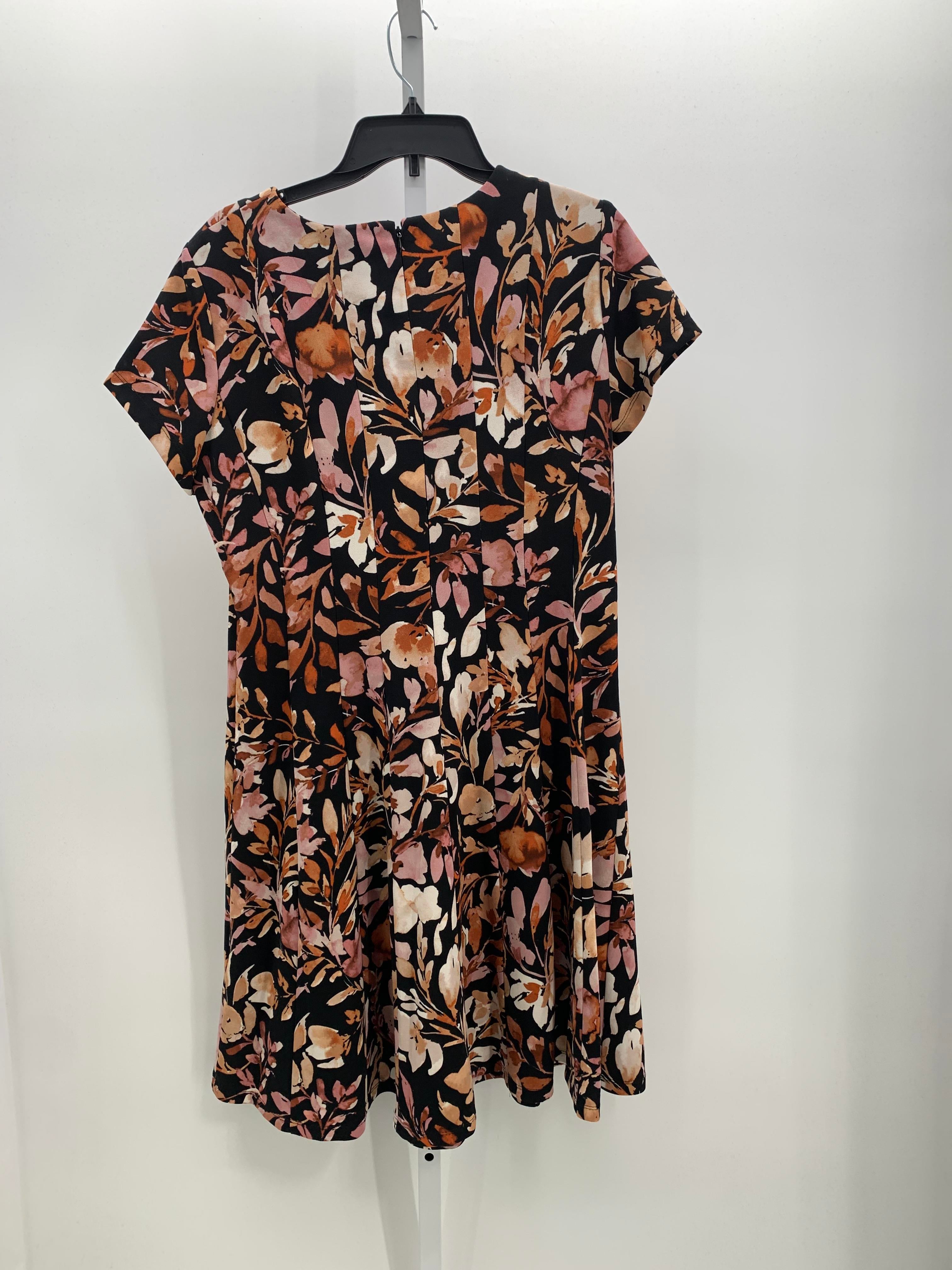 Size 14 Misses Short Sleeve Dress