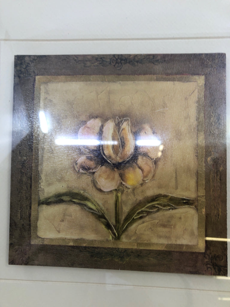 TAN IRIS FLOWER SHADOWBOX ART IN DK WOOD FRAME.