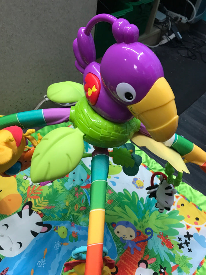 Rainforest Music & Lights Deluxe Gym