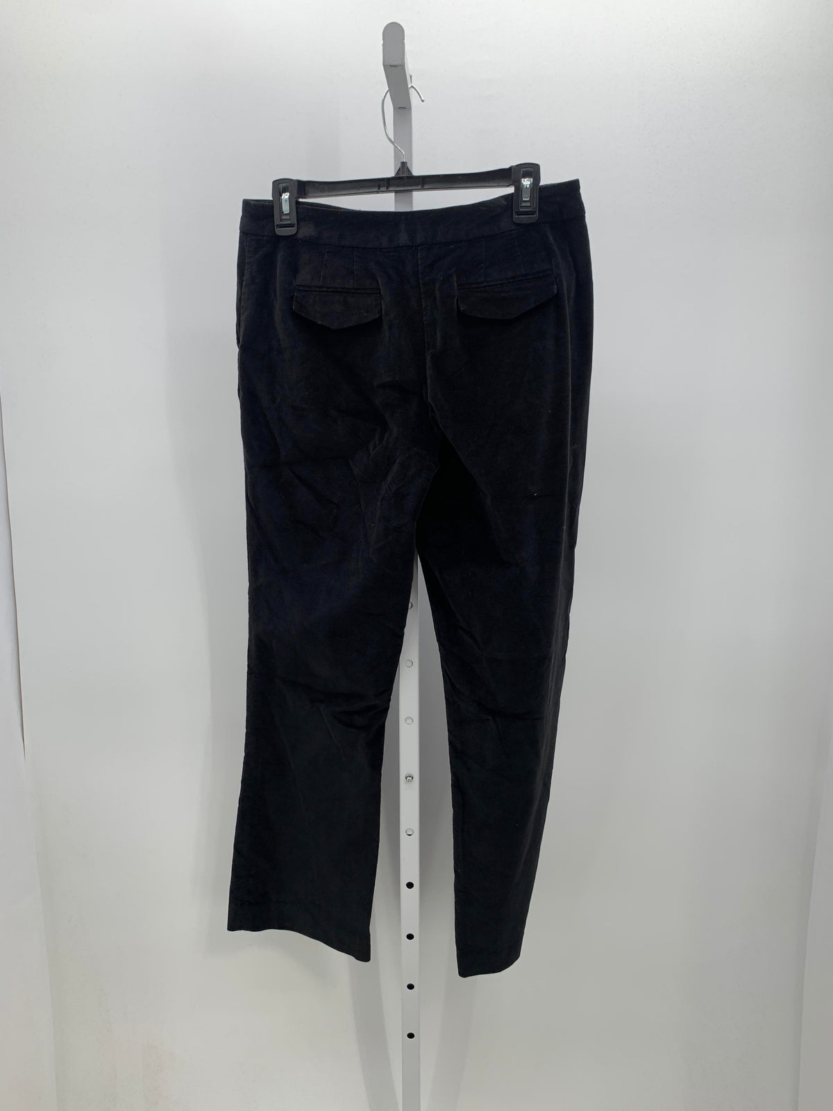 Talbots Size 6 Petite Petite Pants