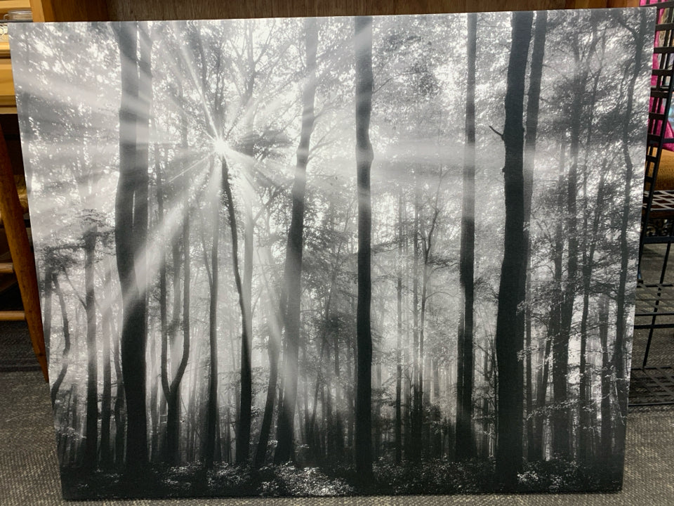 BLACK & WHITE SUNLIGHT THROUGH THE TREES CANVAS WALL ART.