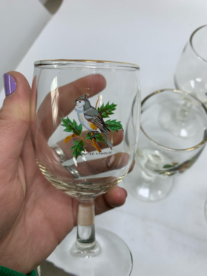 6 SMALL CORDIAL GLASSES W/ PRINTED NEW ENGLAND BIRDS.