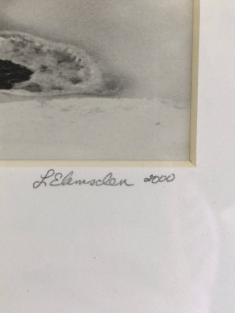 BRANCHES IN SNOW FRAMED PHOTO- SIGNED.