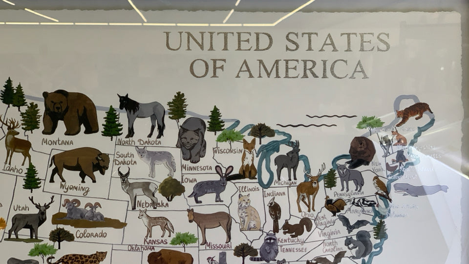WHITE FRAME USA MAP WITH ANIMALS.