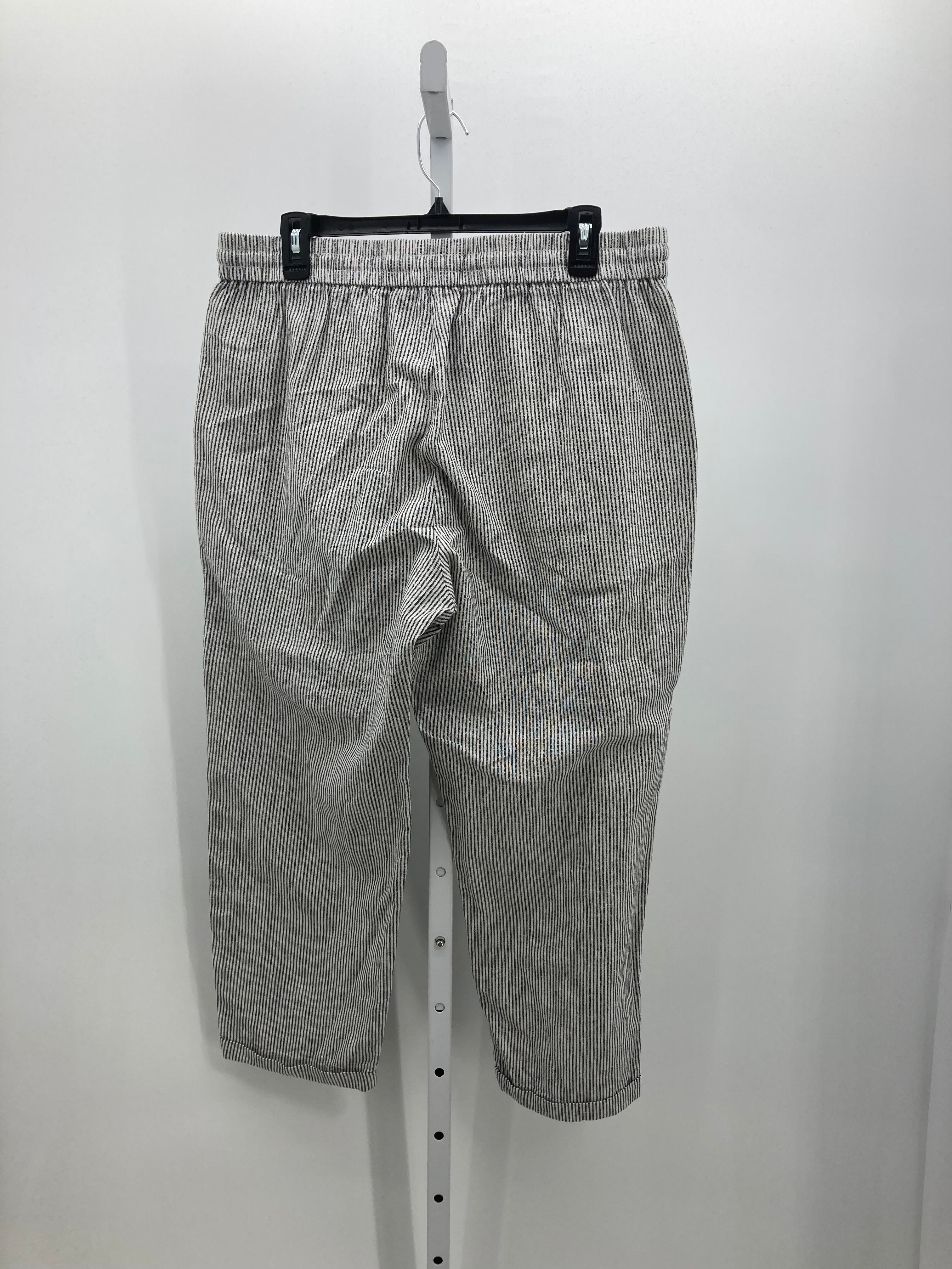 J. Crew Size 14 Misses Pants