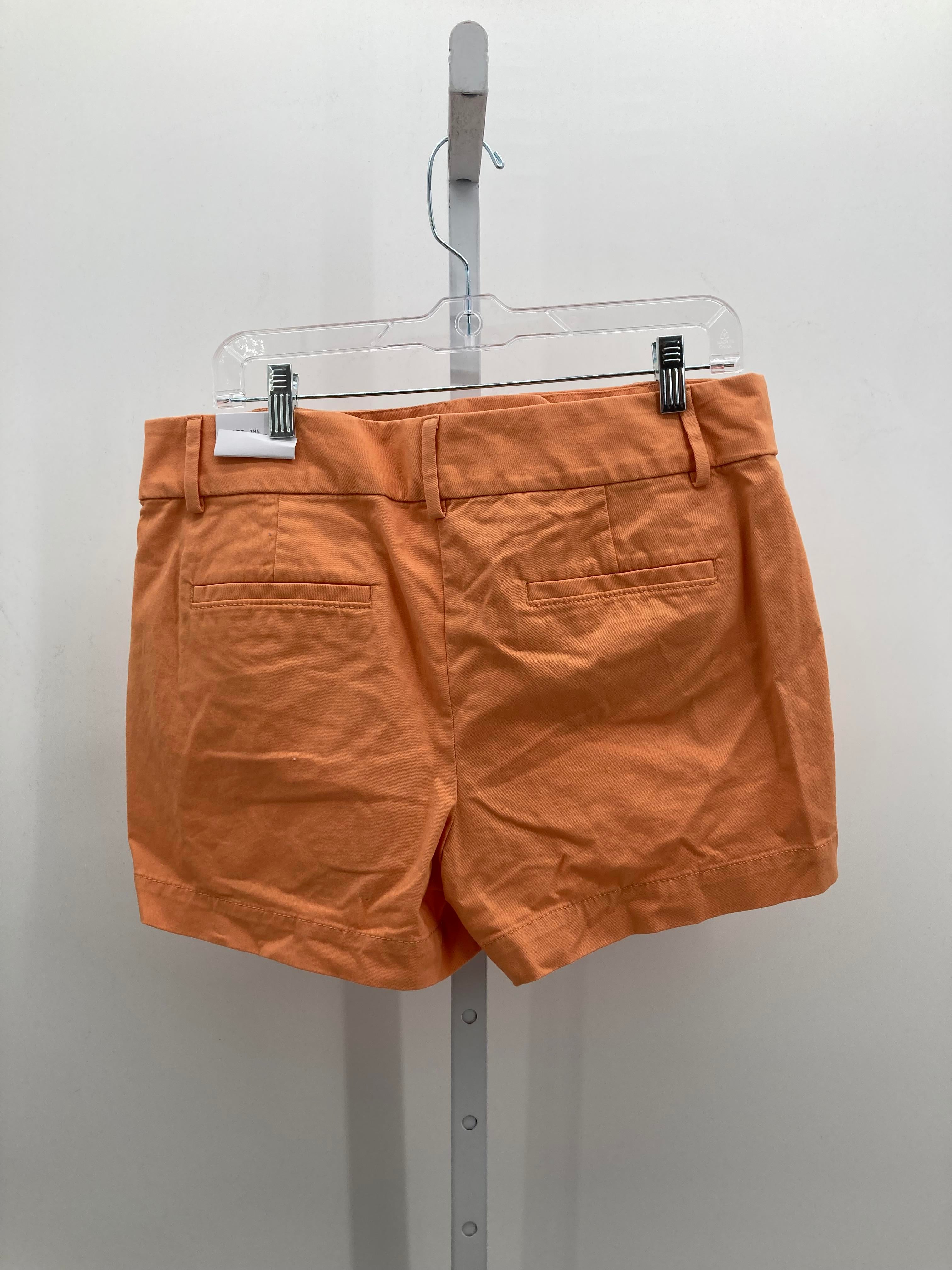 Loft Size 8 Misses Shorts