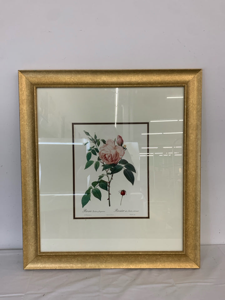 ROSE IN GOLD FRAME WALL HANGING.