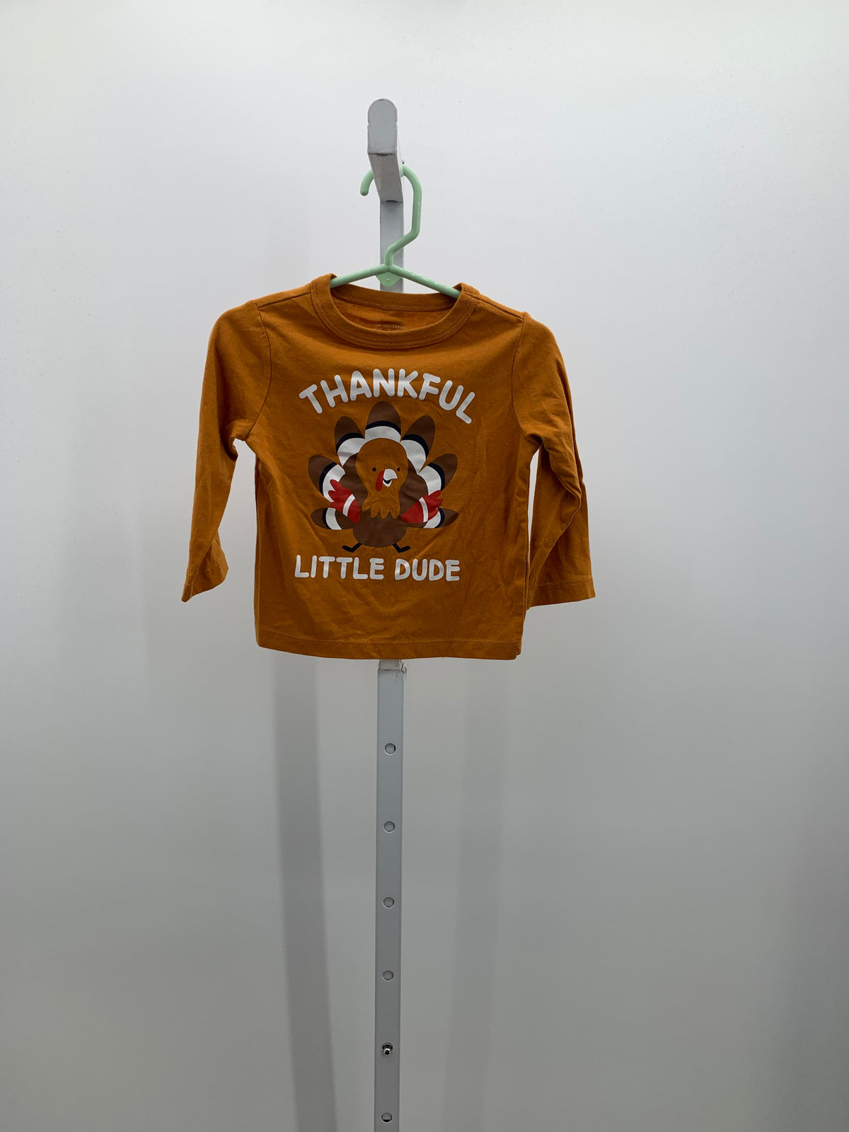 LONG SLV SHIRT THANKFUL LITTLE DUDE