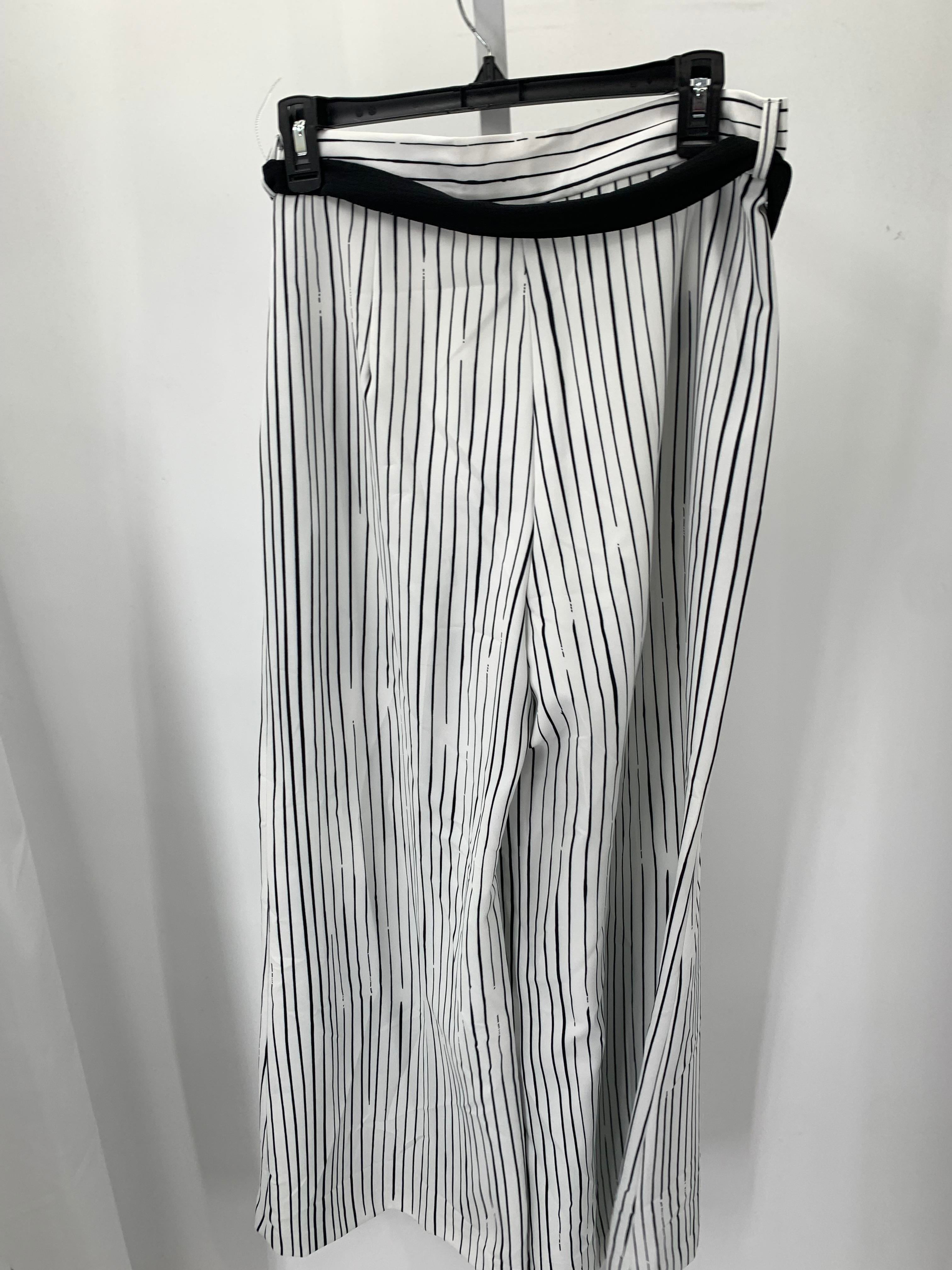 Insights Size 12 Misses Pants