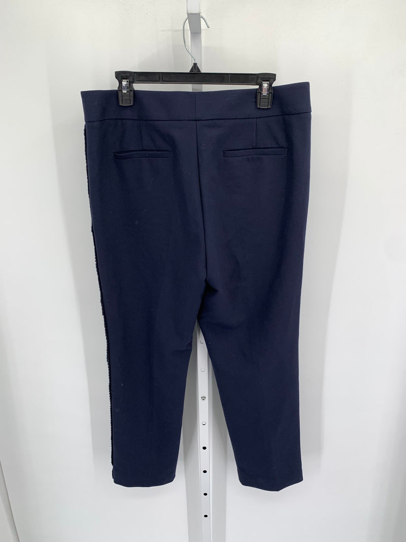 Loft Size 12 Misses Pants