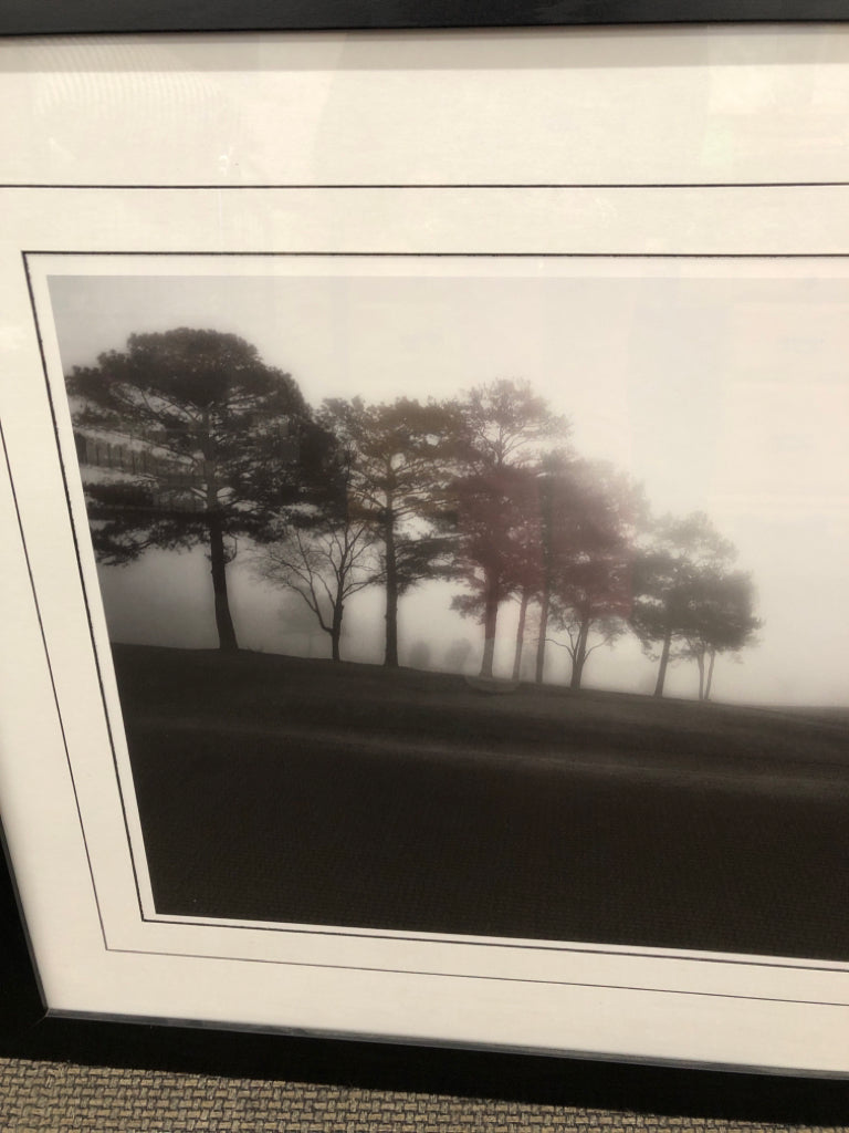 B&W "MEADOW EDGE" FOG TREE STUDY WALL ART.