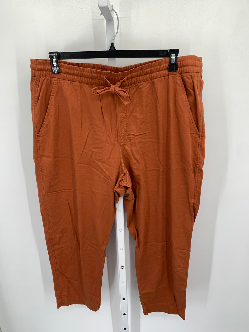 Gap Size Extra Large Misses Pants