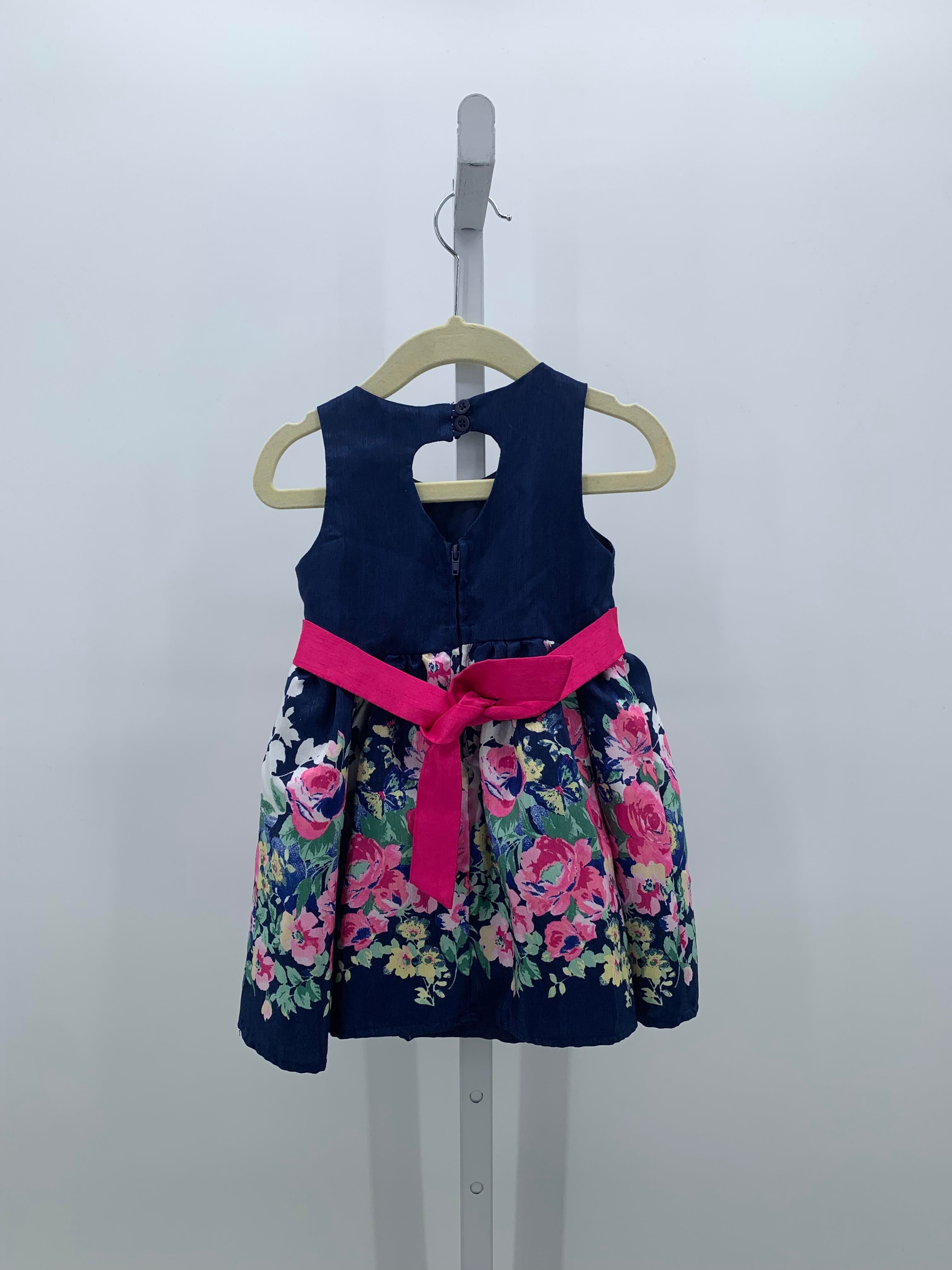Size 2T Girls Sleeveless Dress