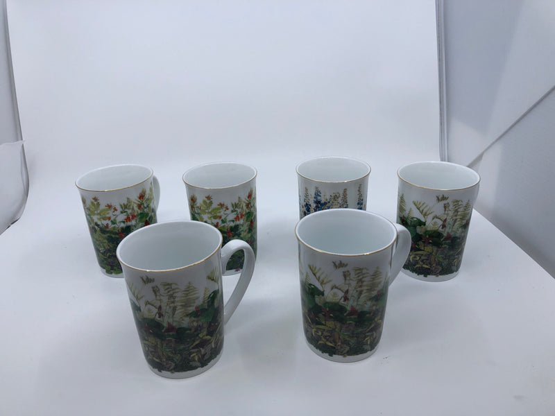 6 OTAGIRI AMERICAN WILDFLOWER MUGS.