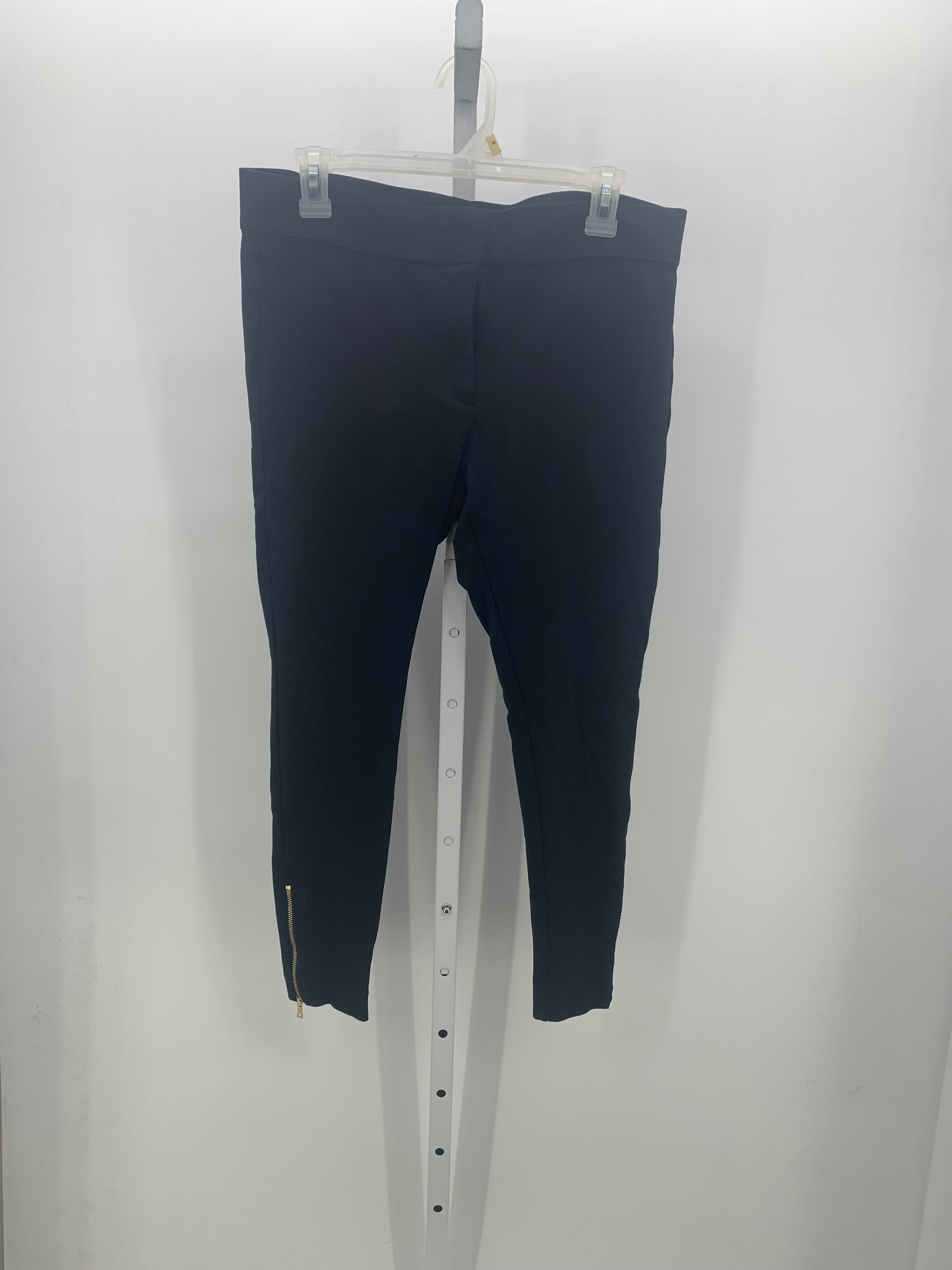 Loft Size 12 Petite Petite Pants