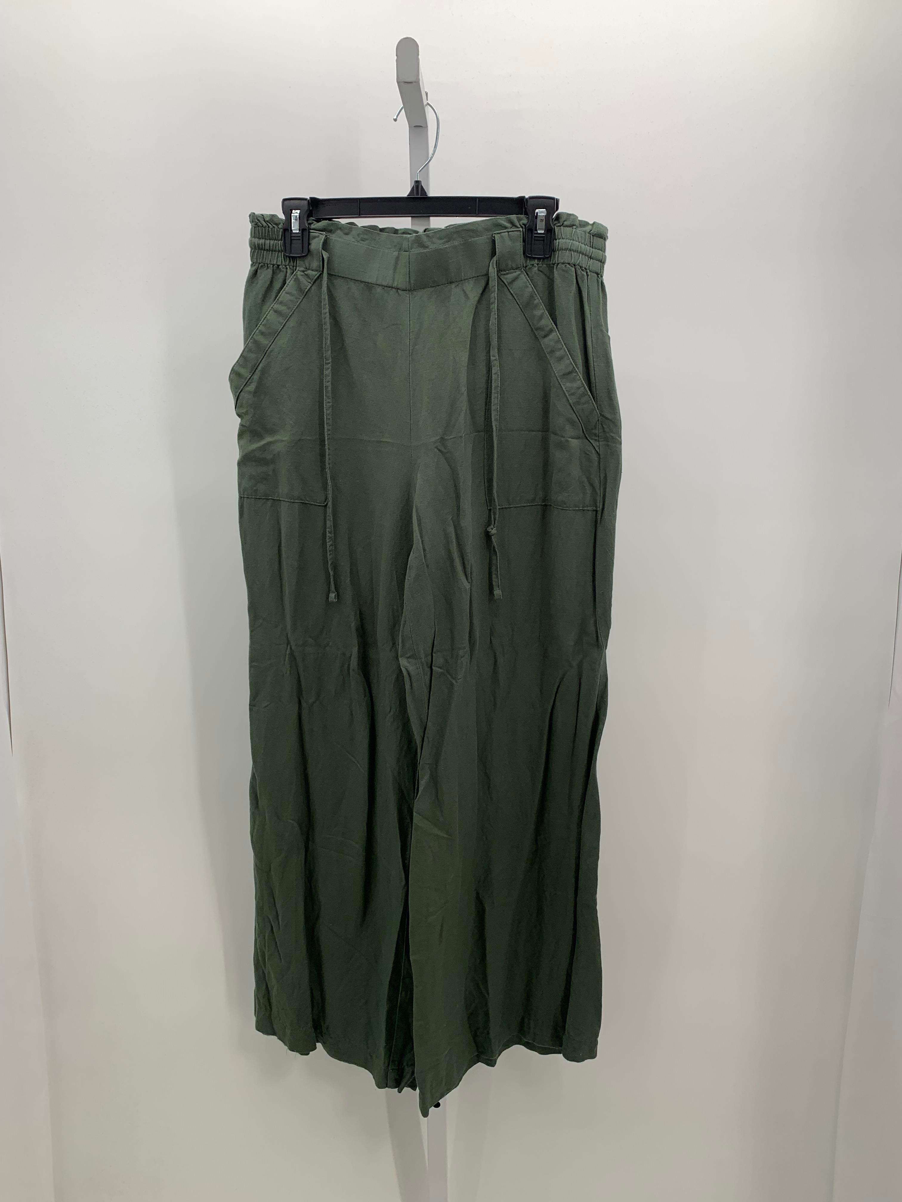 Loft Size Medium Misses Pants