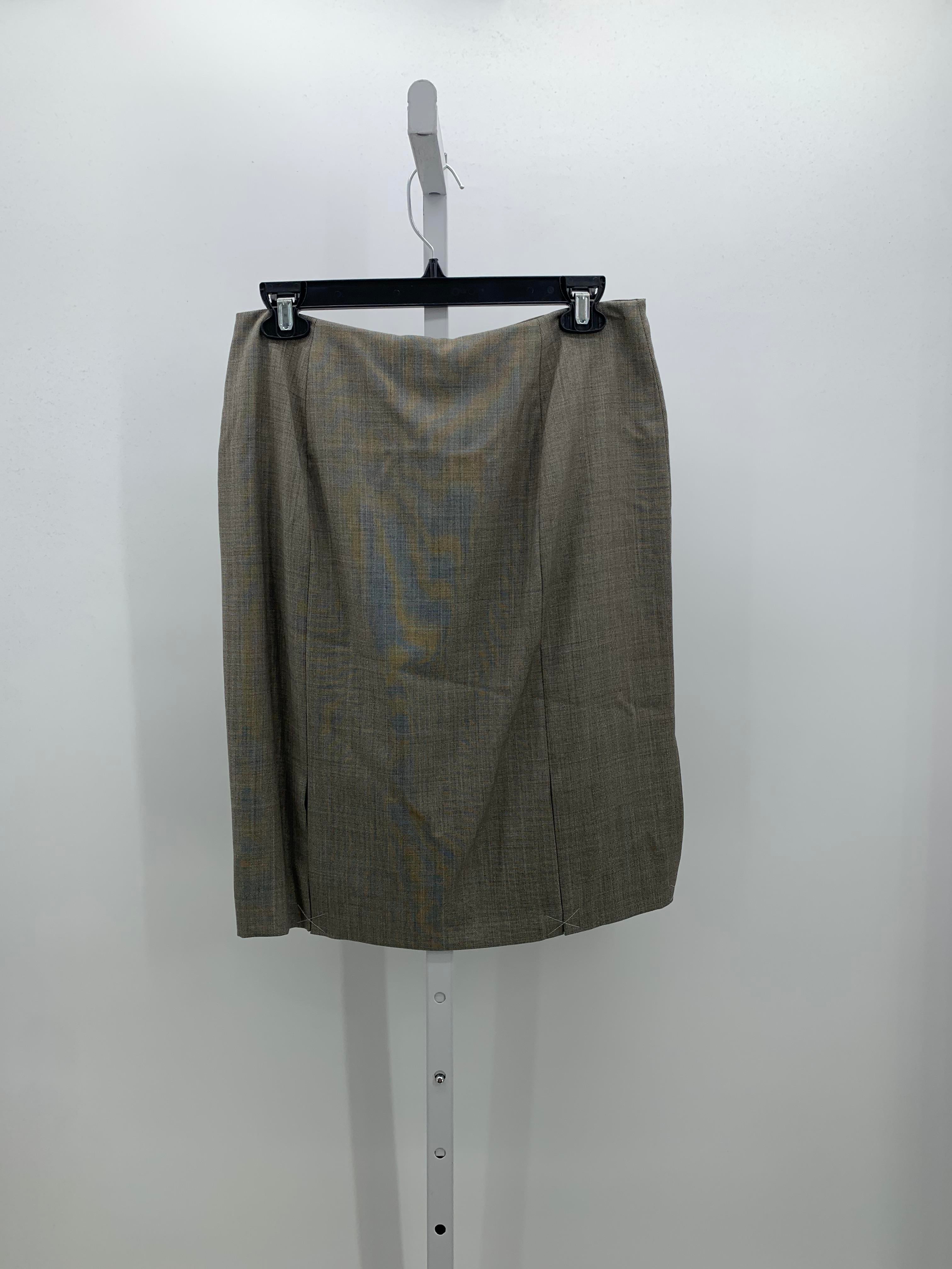 Ann Taylor Size 8 Petite Petite Skirt