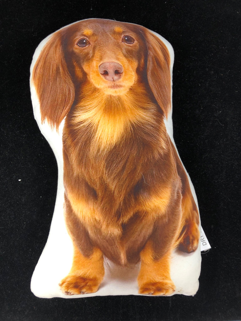 DACHSHUND ACCENT PILLOW.