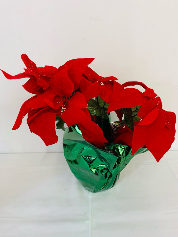 POINSETTIA IN GREEN FOIL.