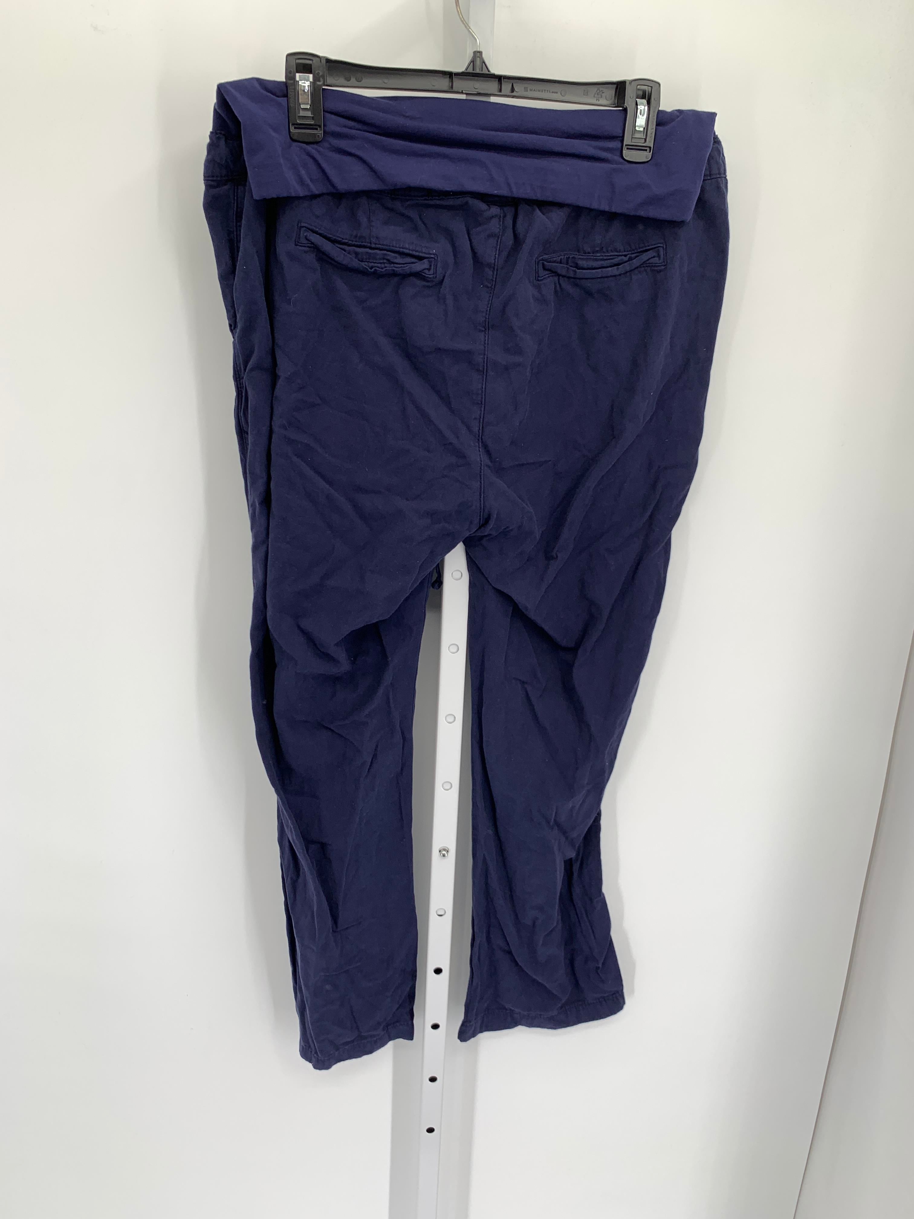 Gap Navy Size Medium Maternity Pants