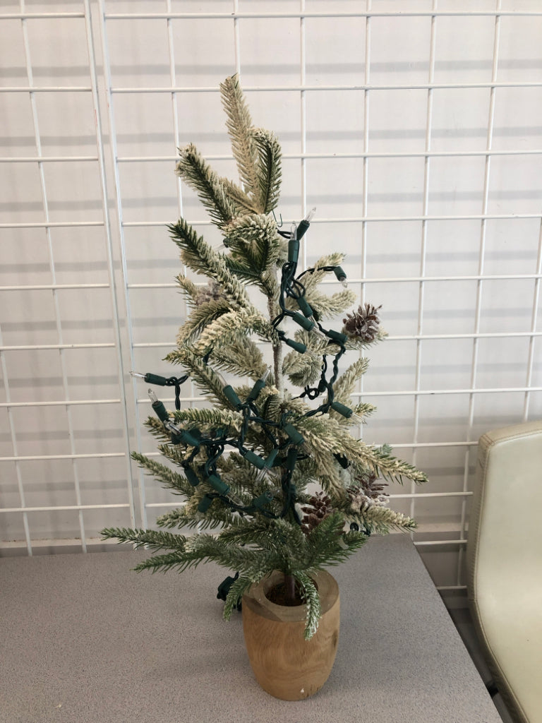 WARM LIGHT FROSTED PINE TREE IN WOOD POT.
