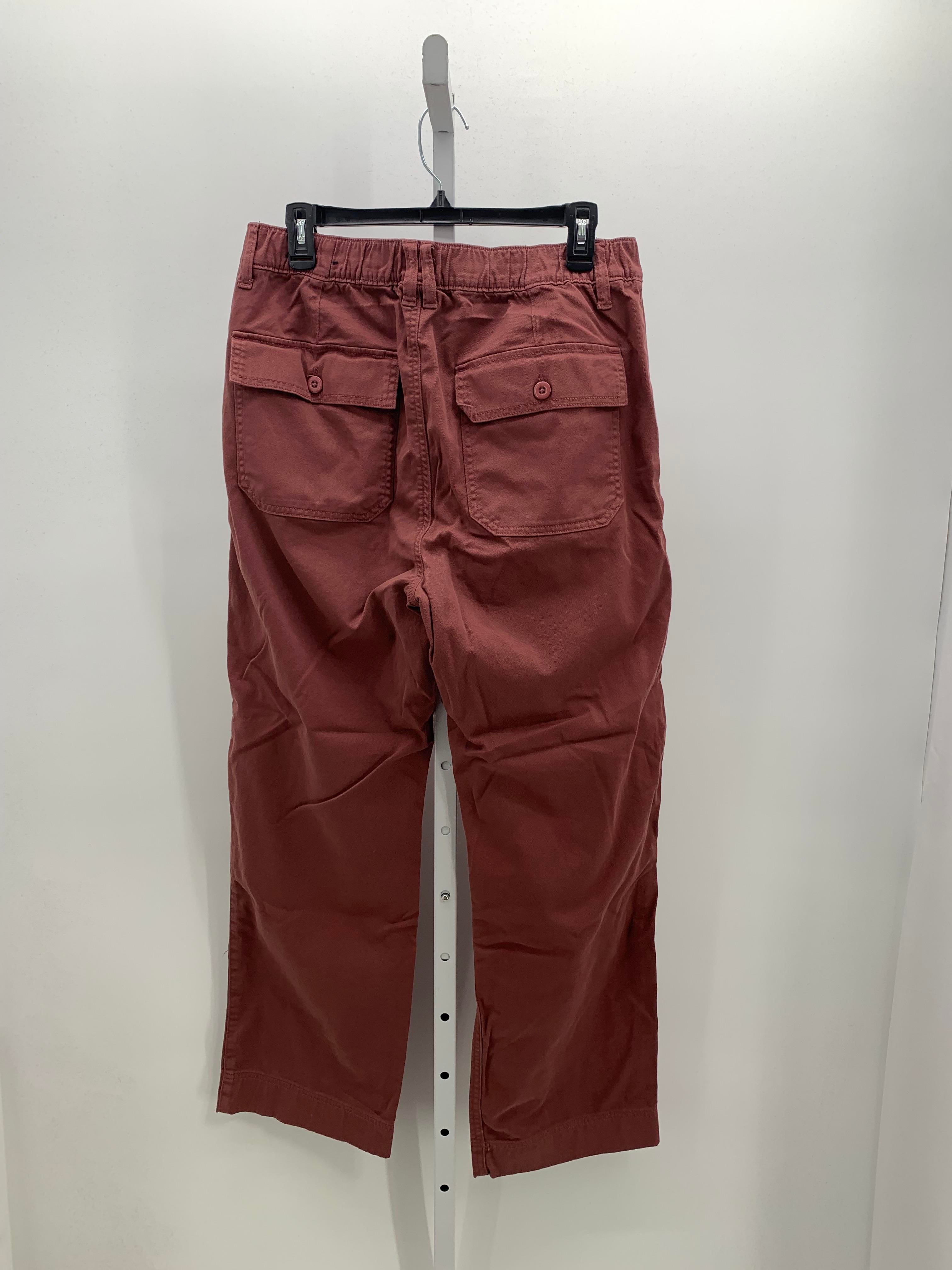 American Eagle Size Medium Juniors Pants
