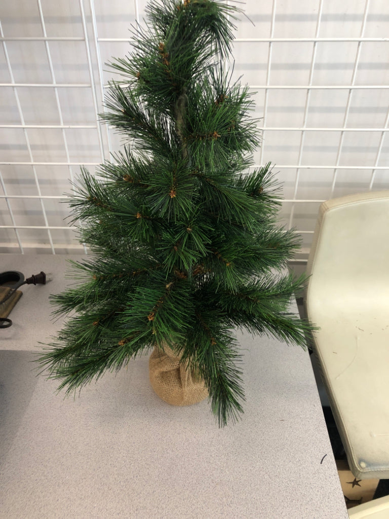 PINE TREE WITH BURLAP BASE.