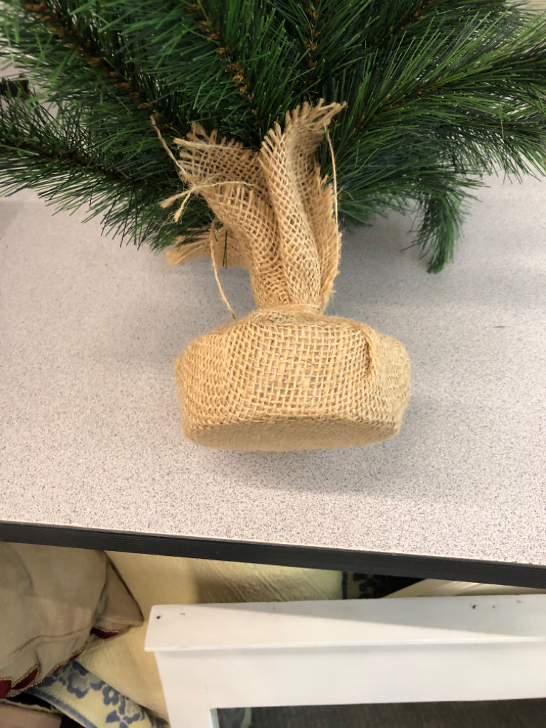 PINE TREE WITH BURLAP BASE.