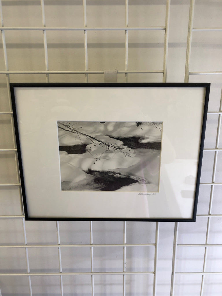 BRANCHES IN SNOW FRAMED PHOTO- SIGNED.