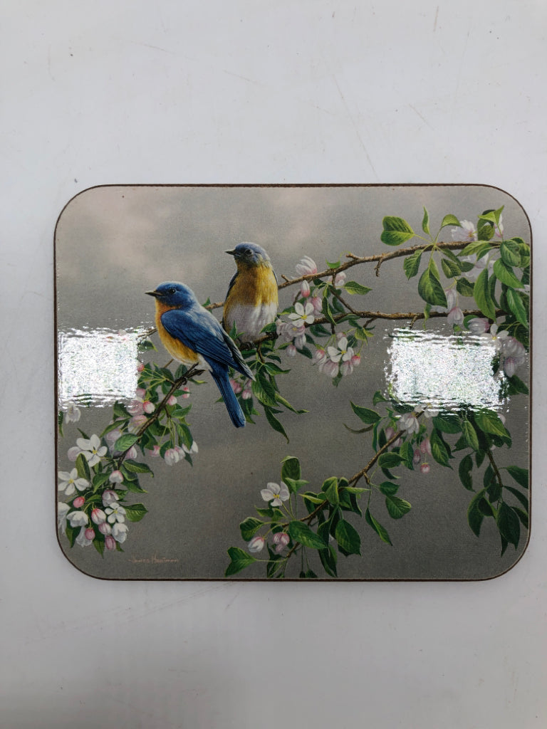 6 JASON BIRD COASTERS IN BOX.