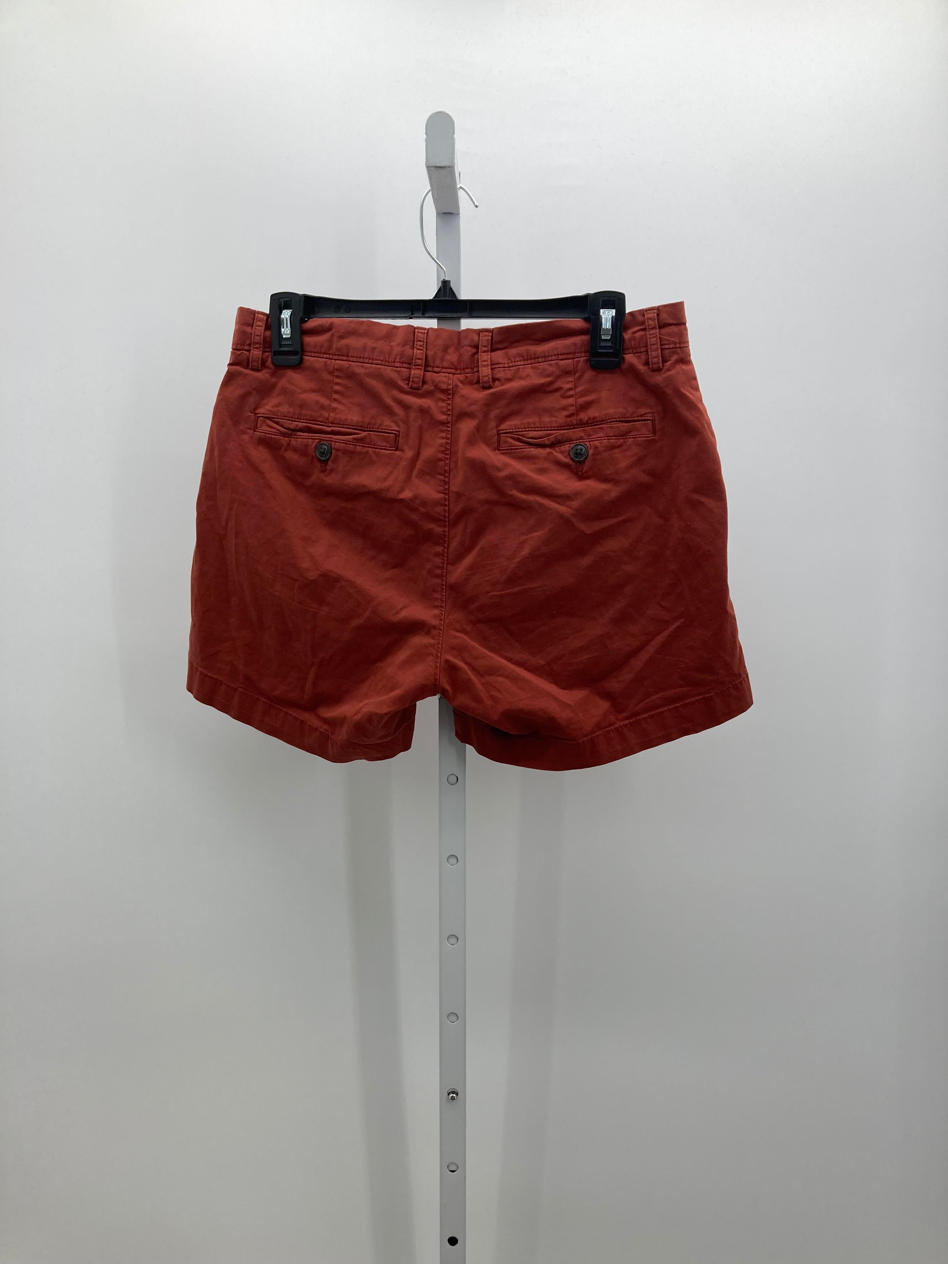 Size 10 Misses Shorts