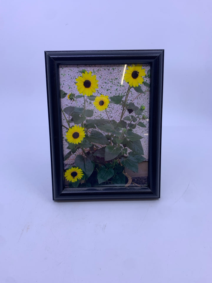 FRAMED SUNFLOWER PHOTO.