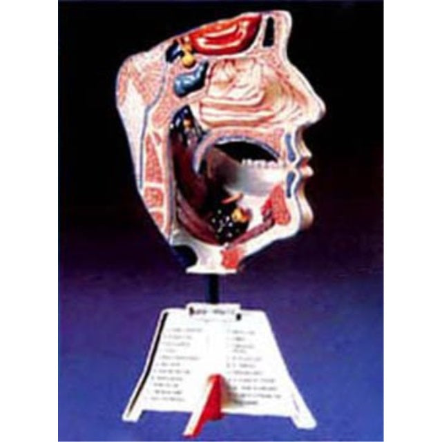 Skilcraft Nose/Mouth Assembly Kit -