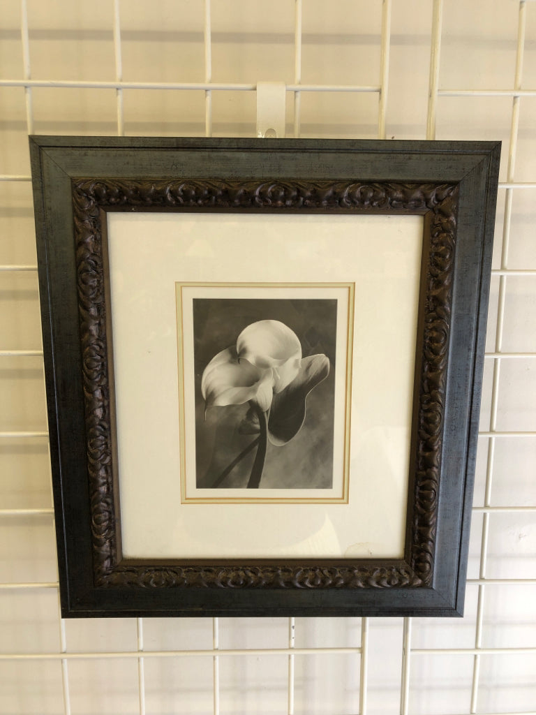 FLORAL PHOTO IN BLACK FRAME.
