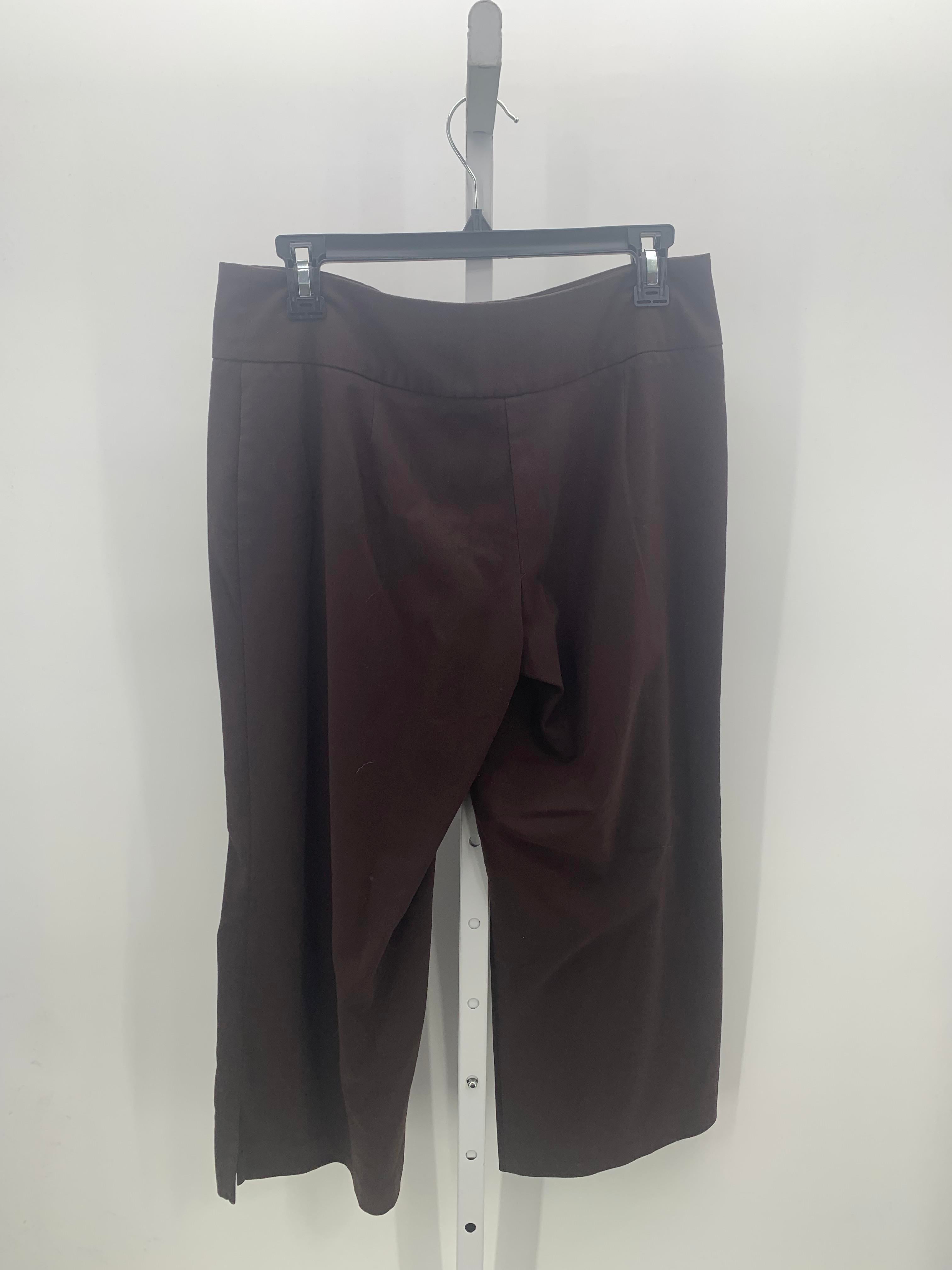 City Streets Size 9 Juniors Capri