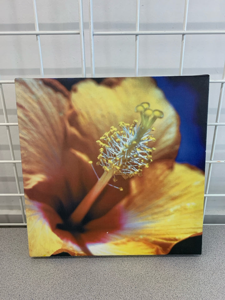 SM HIBISCUS FLOWER CANVAS PRINT.