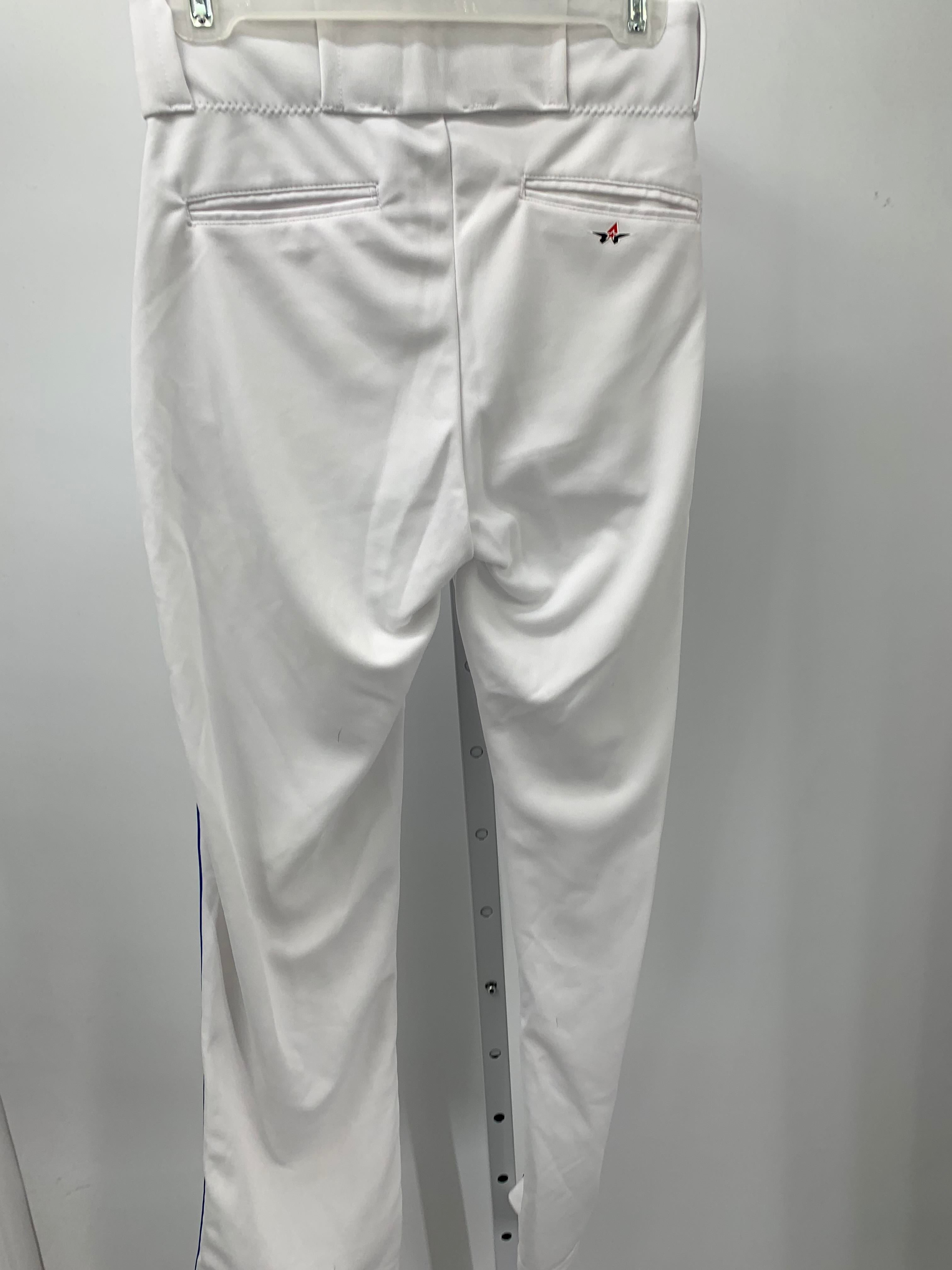 BLUE STRIPE SPORTS PANTS.