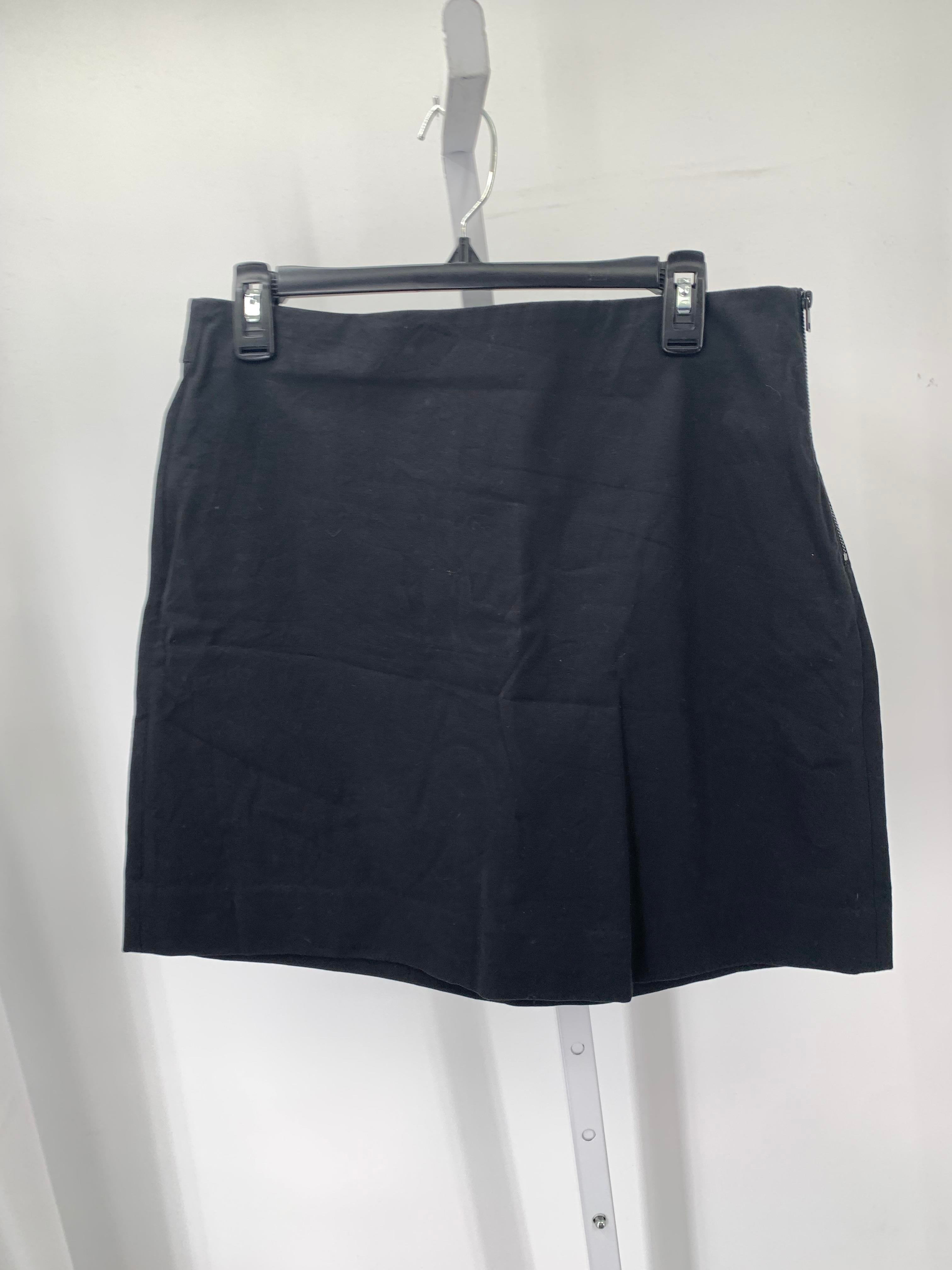 Everlane Size 12 Misses Skirt