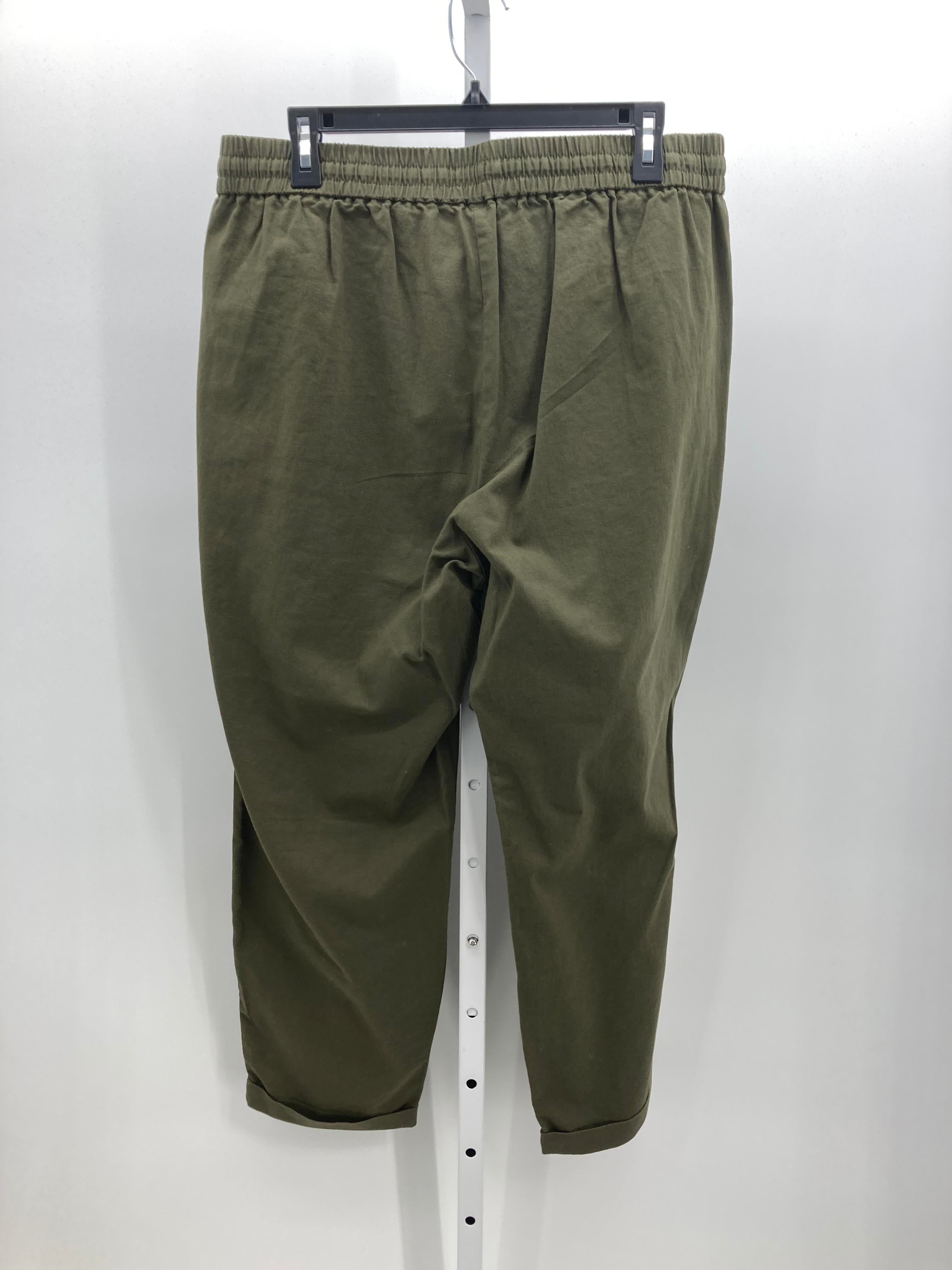 J. Crew Size 14 Misses Pants